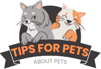 Tips For Pets